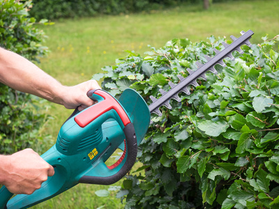 Hecke schneiden mit elektrischer Heckenschere