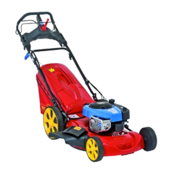 Der beste Benzin Rasenmäher - Test und Vergleich 2020