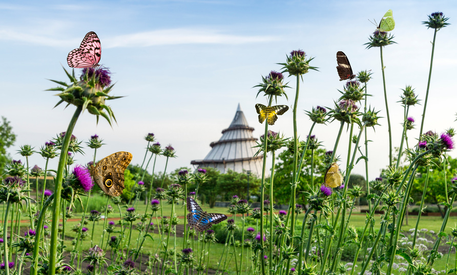 Die Geschichte der Bundesgartenschau